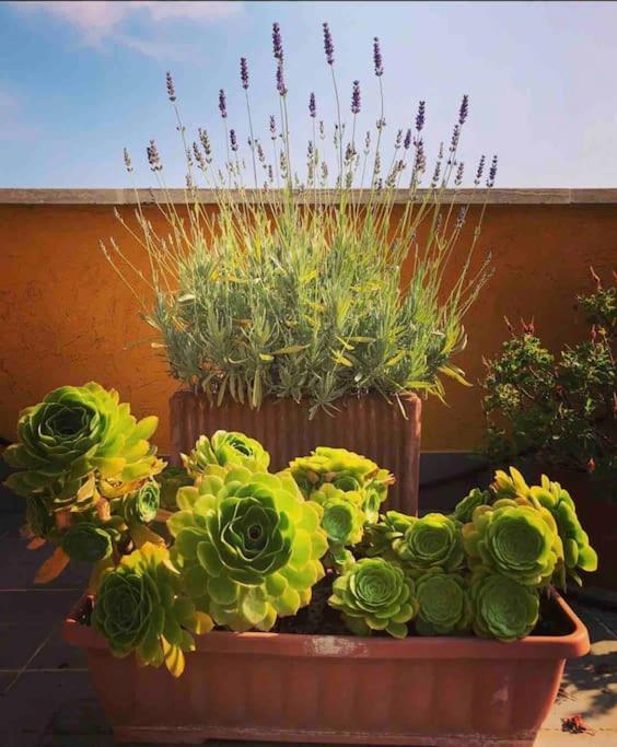 Loft In Garbatella Apartment *